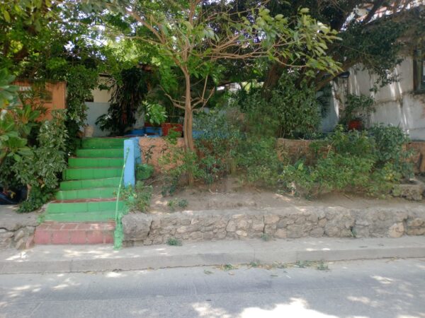 Alfredo de Castro P