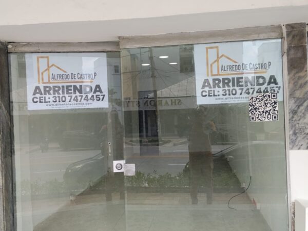 Alfredo de Castro P